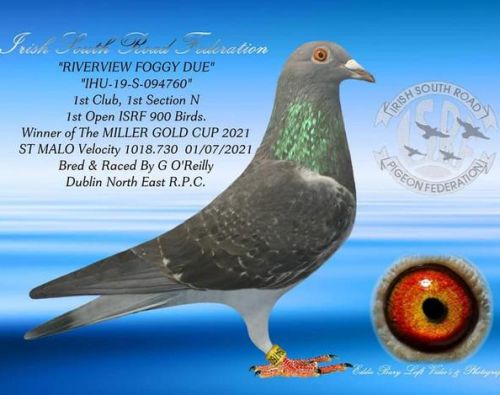 Millar Gold Cup 2021 – G O’Reilly & Sons