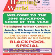 BHW/Show of the Year – Sat/Sun 16th & 17th Jan 2016. BHW Is On-Line NOW!