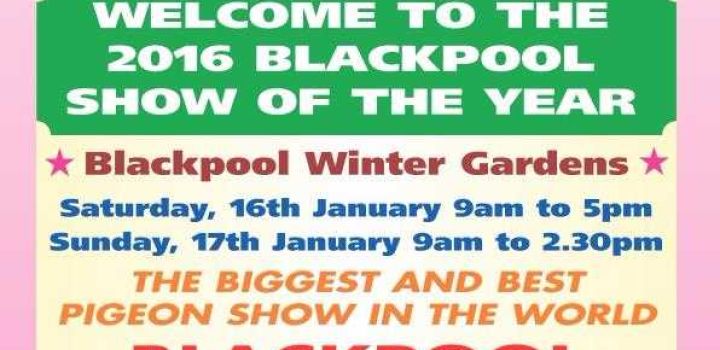 BHW/Show of the Year – Sat/Sun 16th & 17th Jan 2016. BHW Is On-Line NOW!