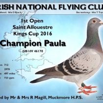 Kings Cup Grand Nat – M/M Magill 1st Open