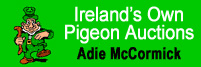 Ireland’s Own Pigeon Auction