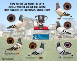 Birds that won the Waring Cup in 2012 season. 