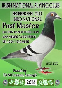 "Post Master" 1st Open INFC Skibbereen for E & M Curran, Armagh HPS.