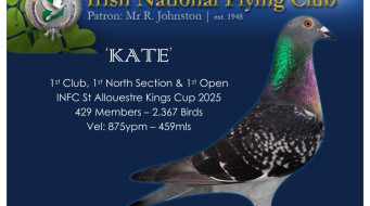 INFC Kings Cup 2025 – J Murtagh & Son, Ballyholland