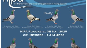 NIPA Ladies Night 2025