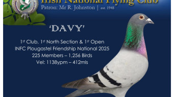 Friendship Nat 2025 – 1st Open R Straney